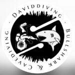 David Diving