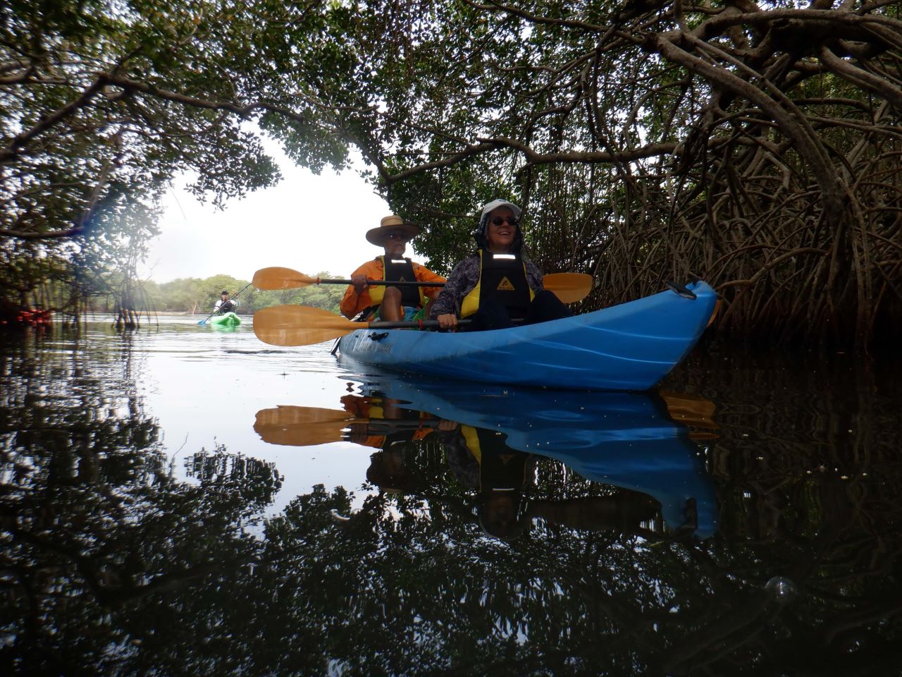 Veracruz – Manglares de Mandinga Kayak al amanecer o atardecer