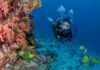 CABO – Two Scuba Dives for certified divers