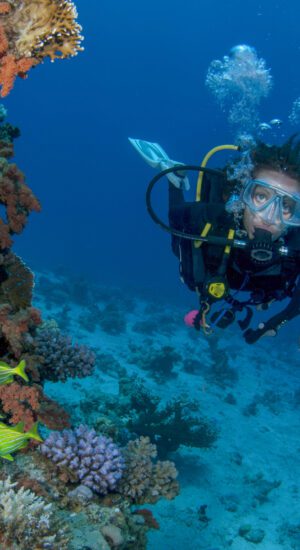 CABO – Two Scuba Dives for certified divers