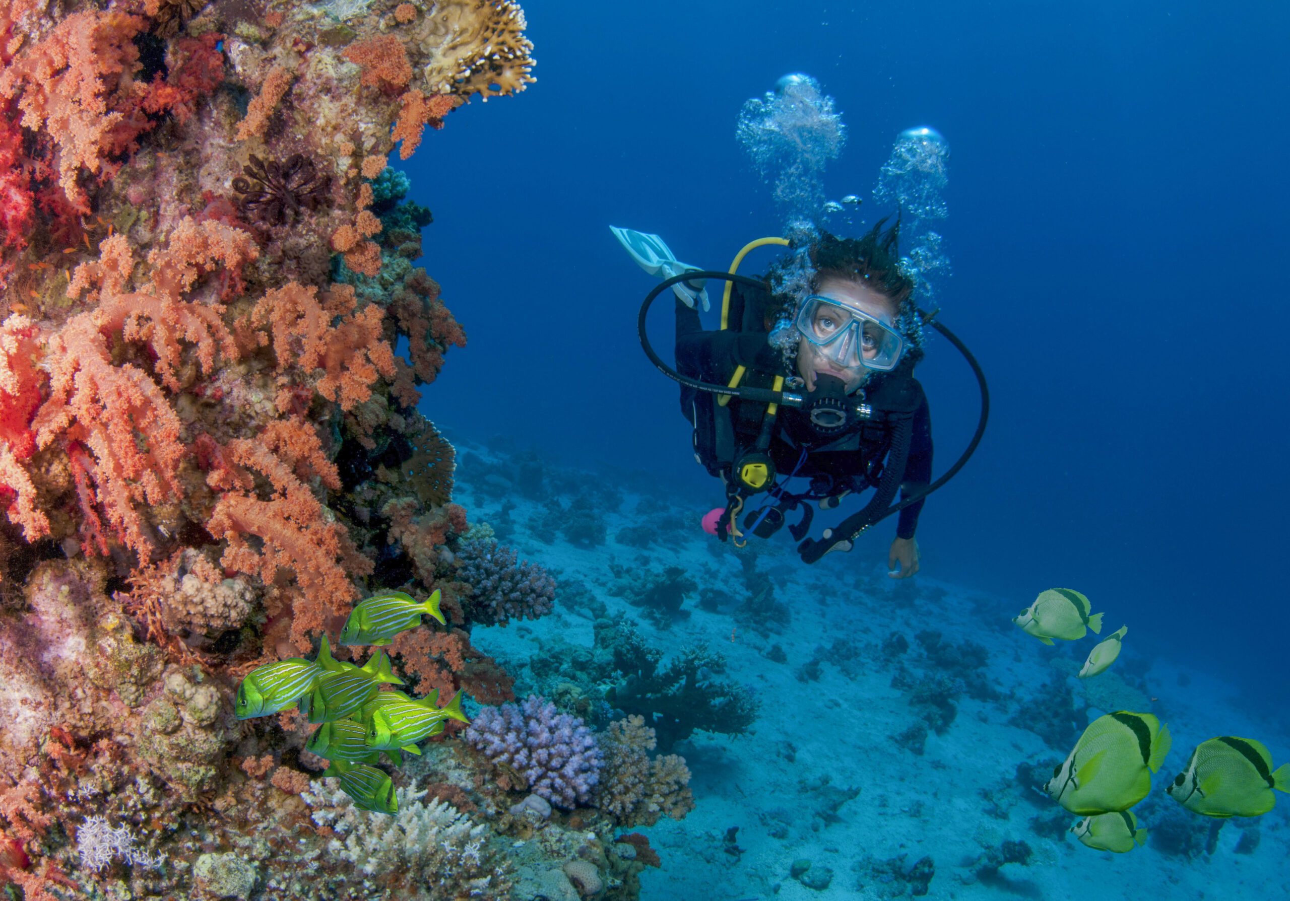 CABO – Two Scuba Dives for certified divers