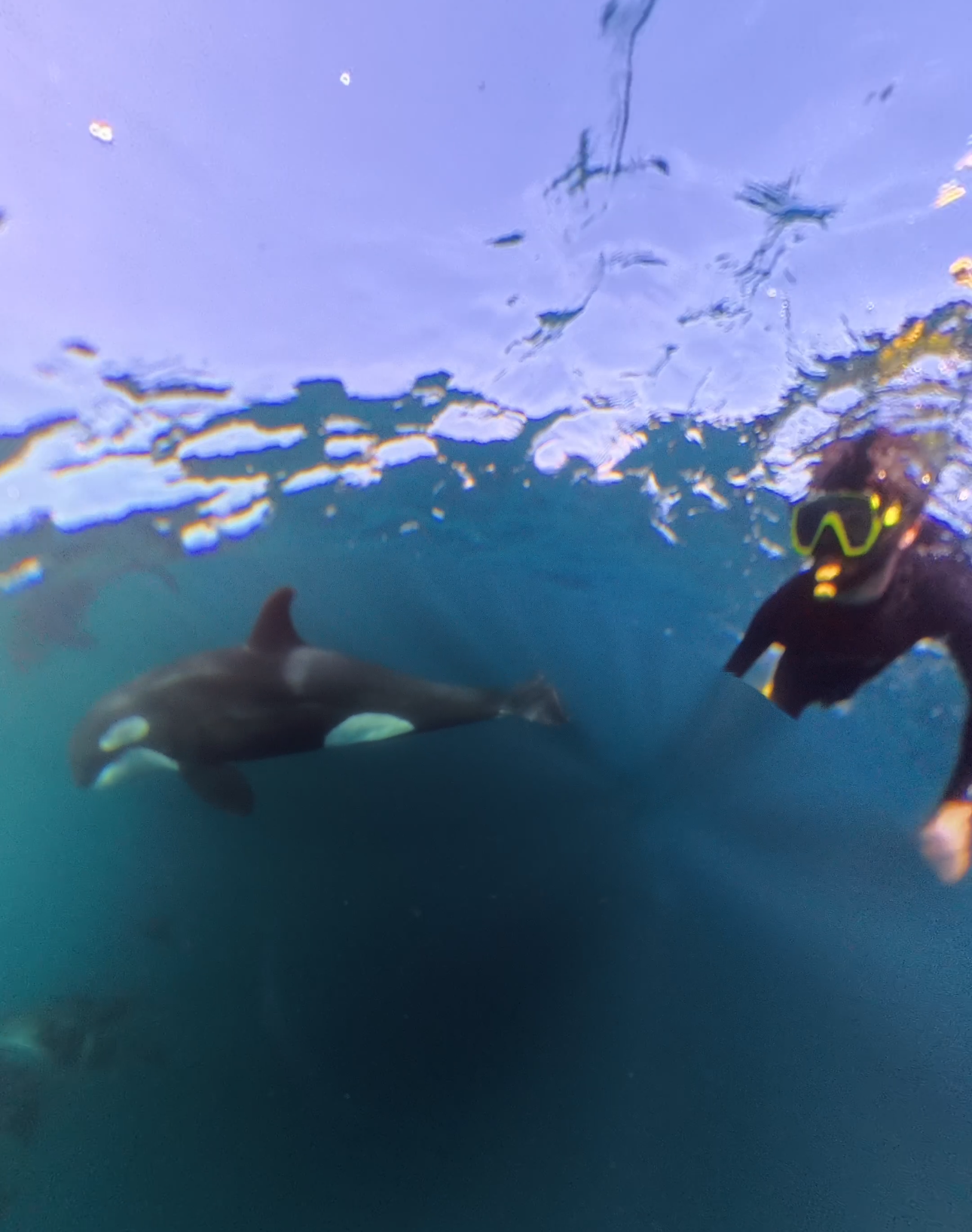 20250109_010612000_iOS 20250109_010612000_iOS