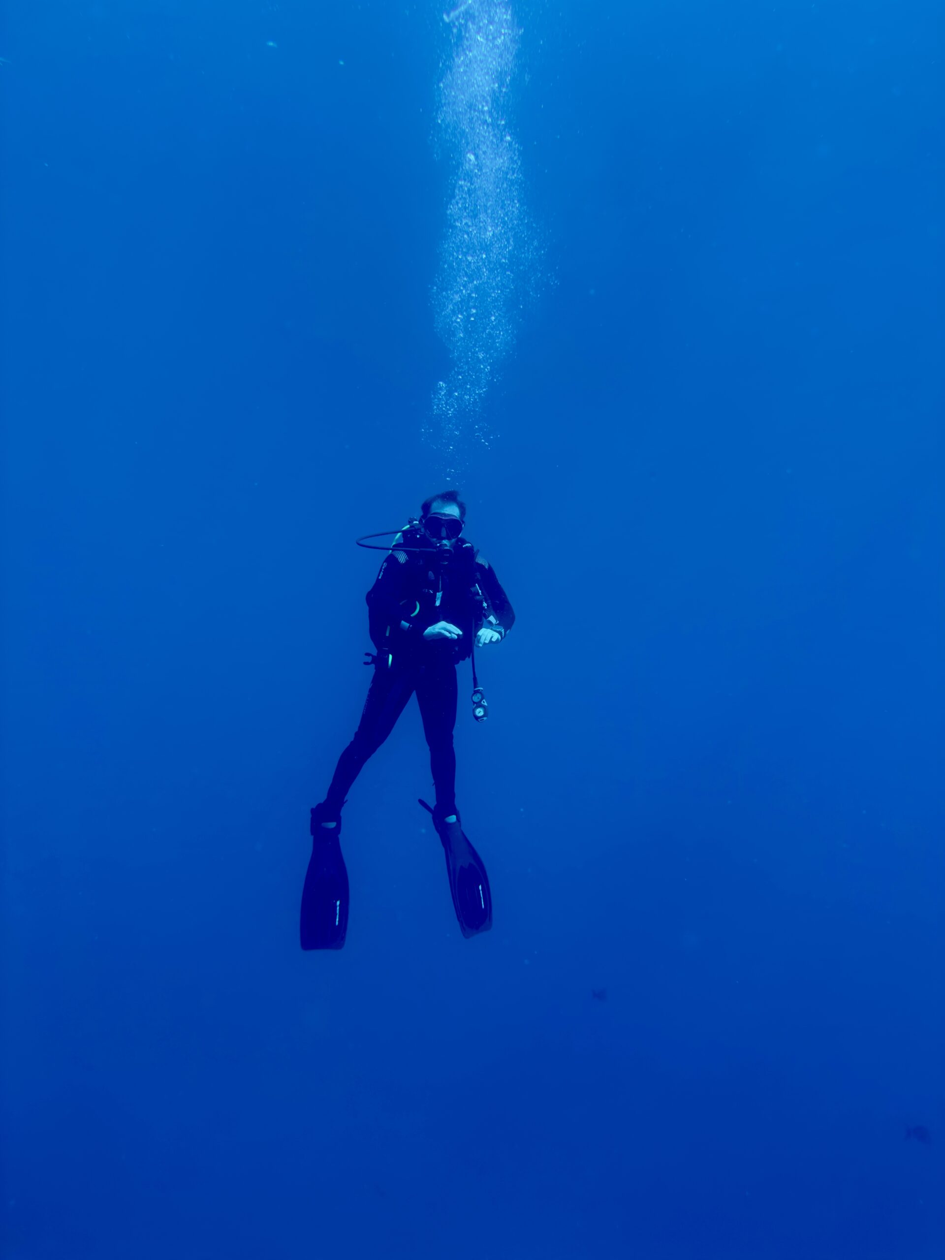 93C91EC4-057A-495E-8008-5BEED366484F-77769-00003BE39955E3EC 93C91EC4-057A-495E-8008-5BEED366484F-77769-00003BE39955E3EC