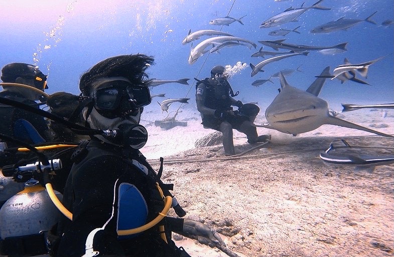 B57800F9-00C1-443E-A339-134B1F89461B B57800F9-00C1-443E-A339-134B1F89461B