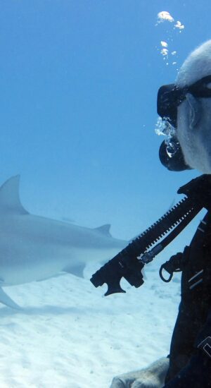 Epic Diving – Tiburón toro, nocturno, arrecifes y más